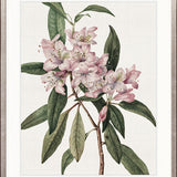 Phillipson Floral II