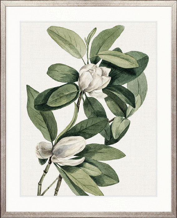 Phillipson Floral IV