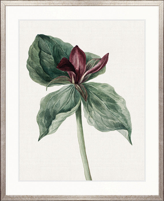 Phillipson Floral V