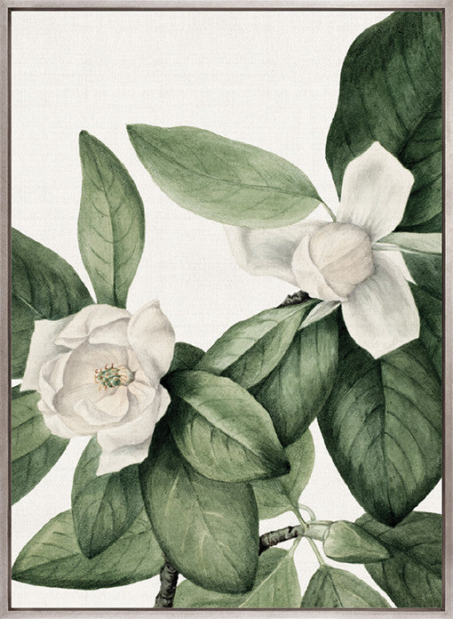 Phillipson Floral VI (Canvas)