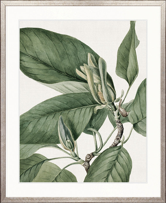 Phillipson Floral VII