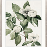 Phillipson Floral XI