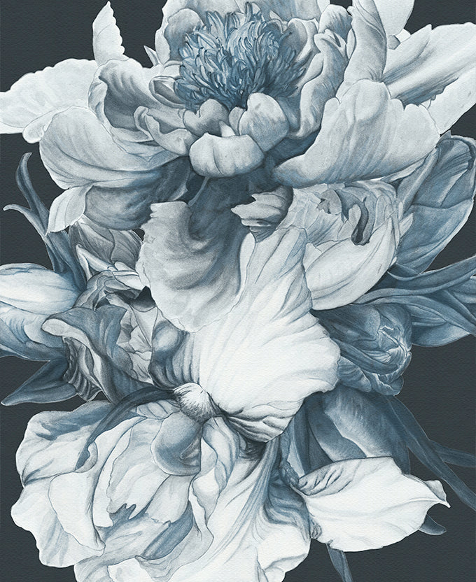 Pivoine II
