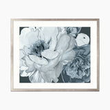 Pivoine IV Small (465mm W x 560mm H) / Standard Clear Glass