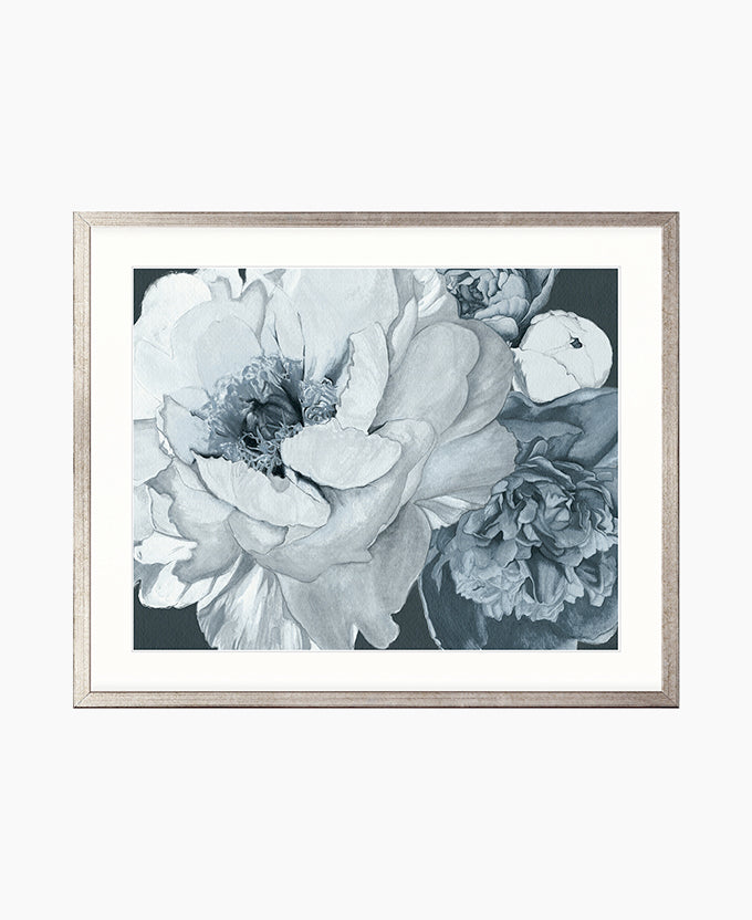 Pivoine IV