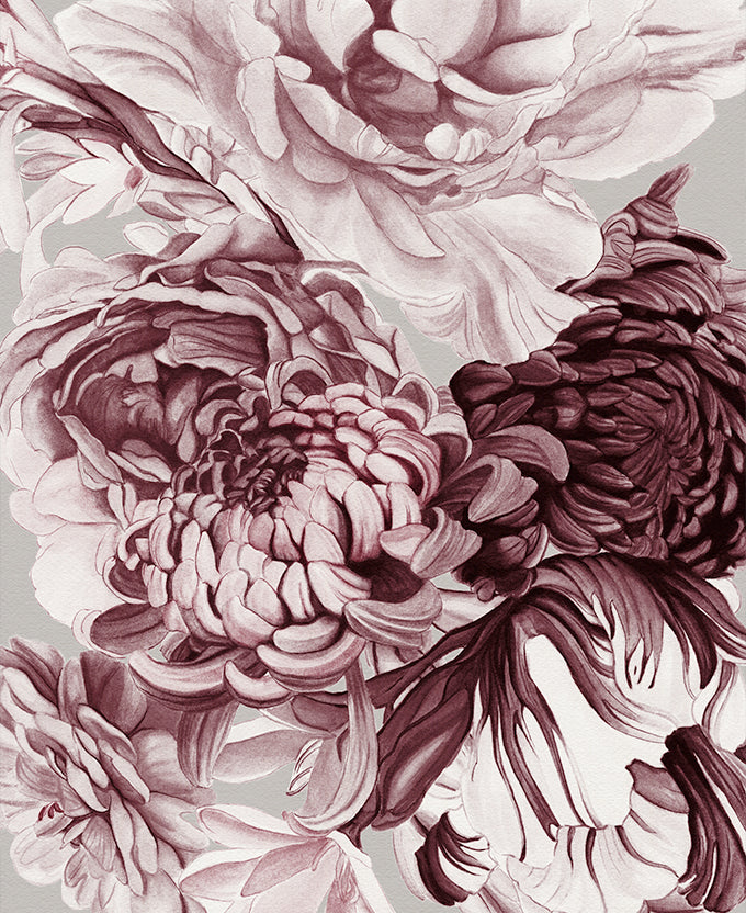 Pivoine V