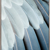La Plume I (Canvas)