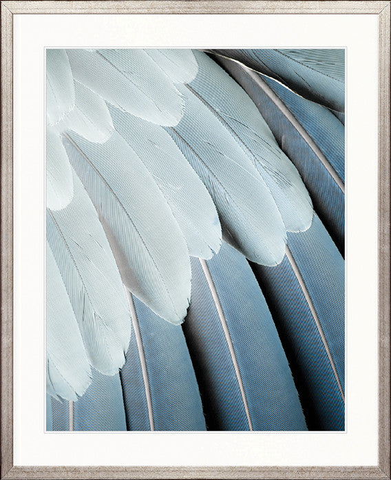 La Plume I