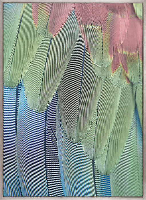 La Plume II (Canvas)