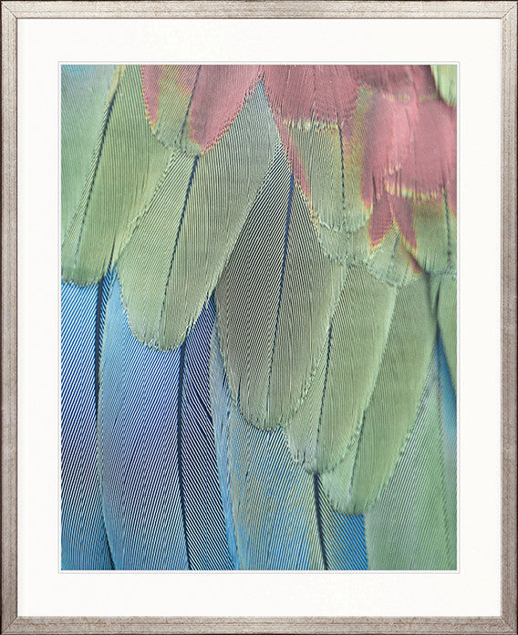 La Plume II