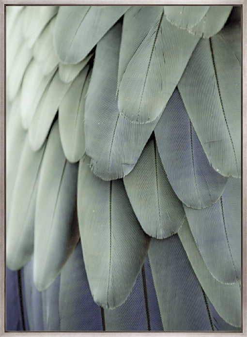 La Plume III (Canvas)