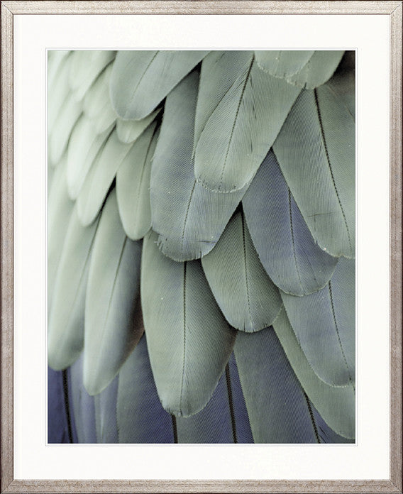 La Plume III