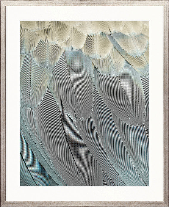 La Plume IV