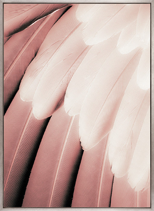 La Plume V (Canvas)