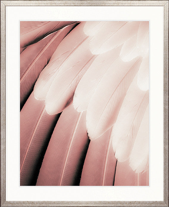 La Plume V