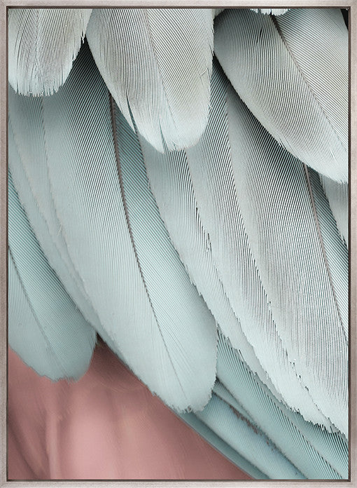 La Plume VI (Canvas)