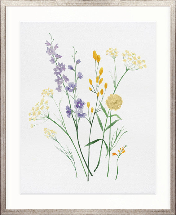Pressed Wildflowers I