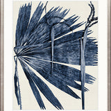 Asiatic Palm III