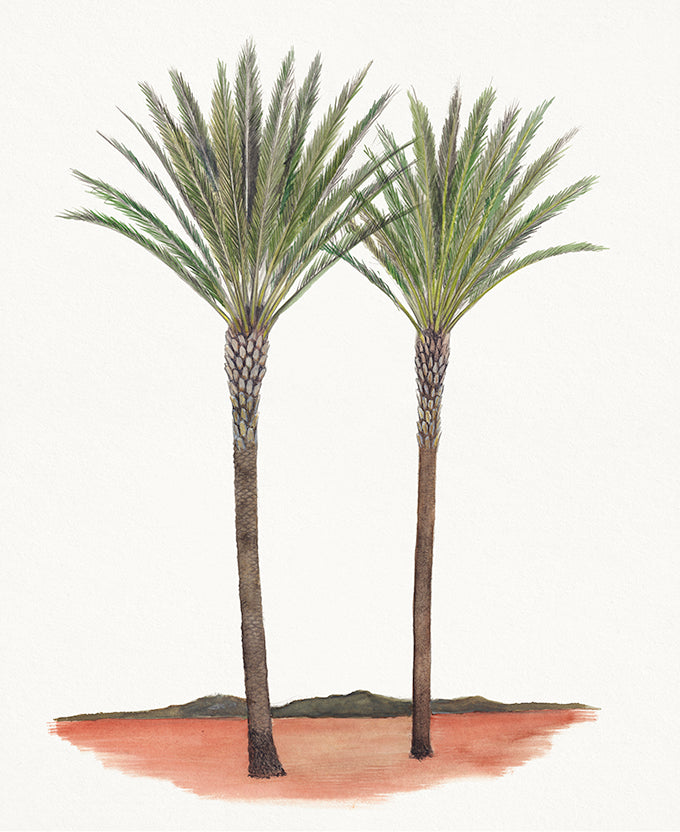 Regal Canopy IV (Canvas)
