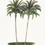 Regal Canopy V (Canvas) Large (903mm W x 1109mm H)