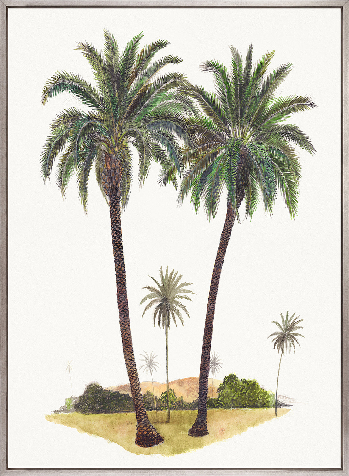 Regal Canopy VII (Canvas)