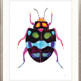 Rosselli Beetle IV