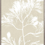 Seaweed Harmony I (Canvas)