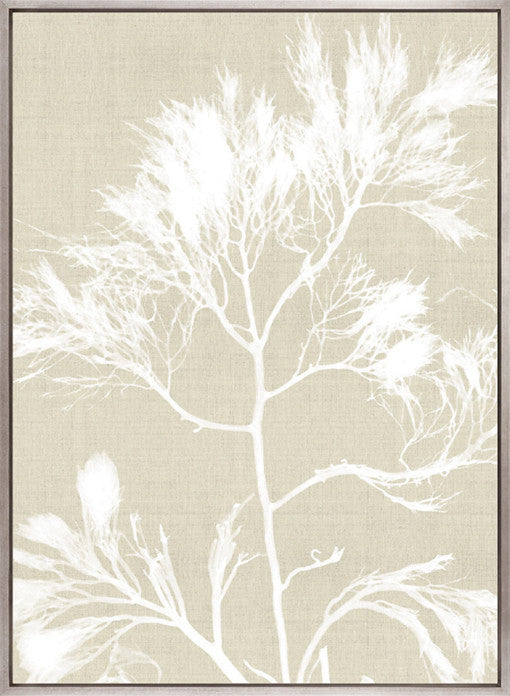 Seaweed Harmony I (Canvas)
