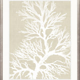 Seaweed Harmony II