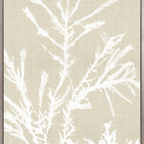 Seaweed Harmony III (Canvas)