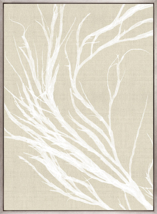 Seaweed Harmony IV (Canvas)