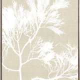 Seaweed Harmony V (Canvas)