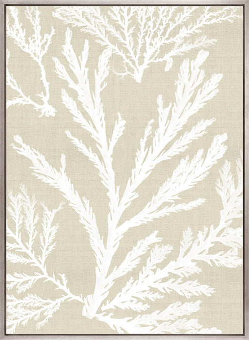 Seaweed Harmony VI (Canvas)