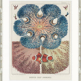 Marine Kaleidoscope I