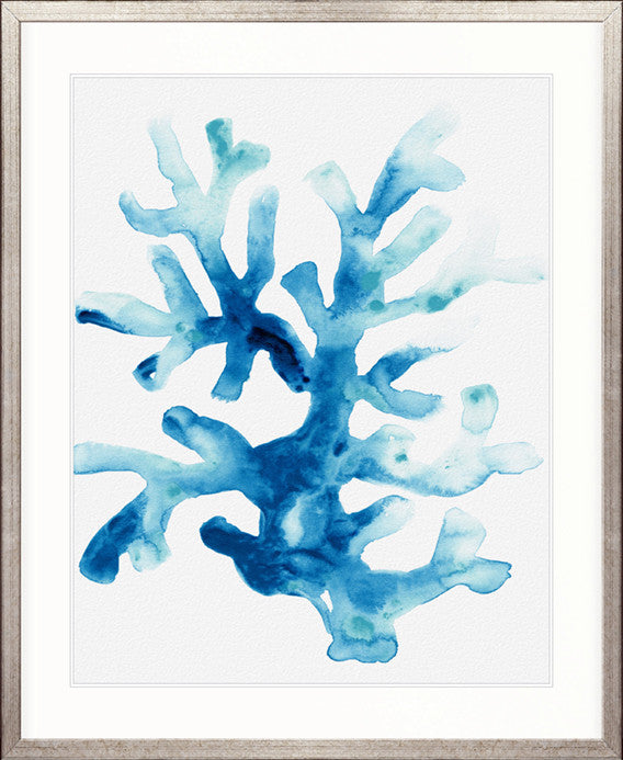 Sea Life I