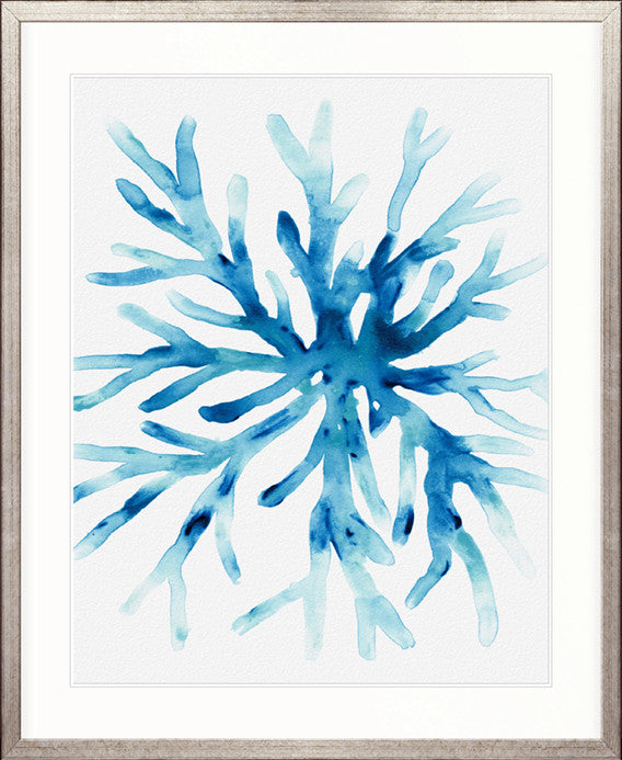 Sea Life II