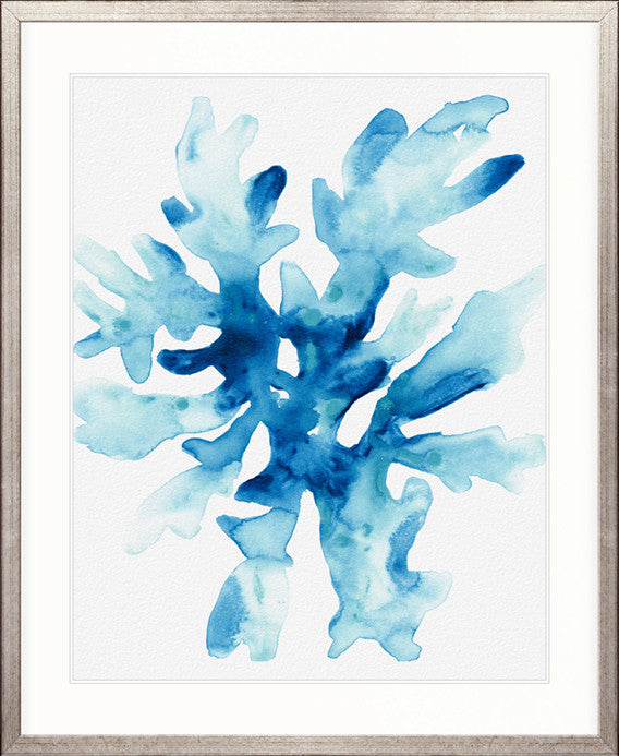 Sea Life III