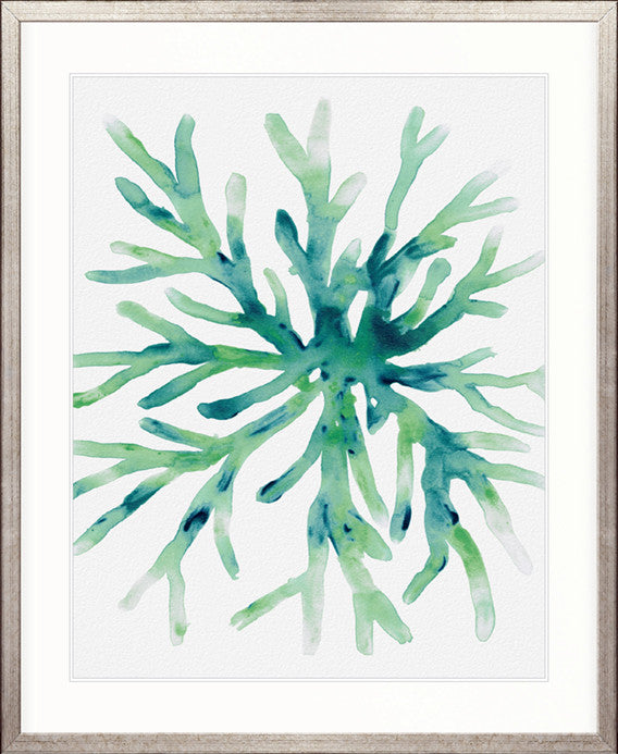 Sea Life V