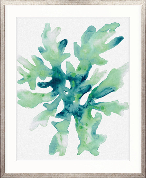 Sea Life VI