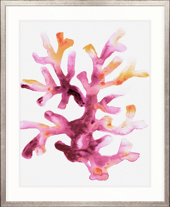 Sea Life VII