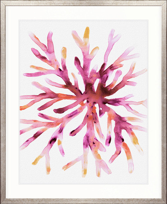 Sea Life VIII