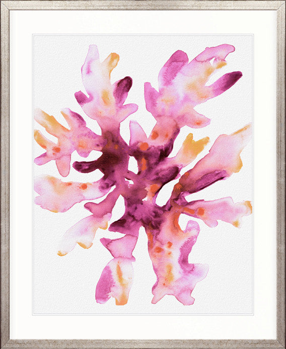 Sea Life IX