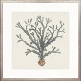Natural Coral I