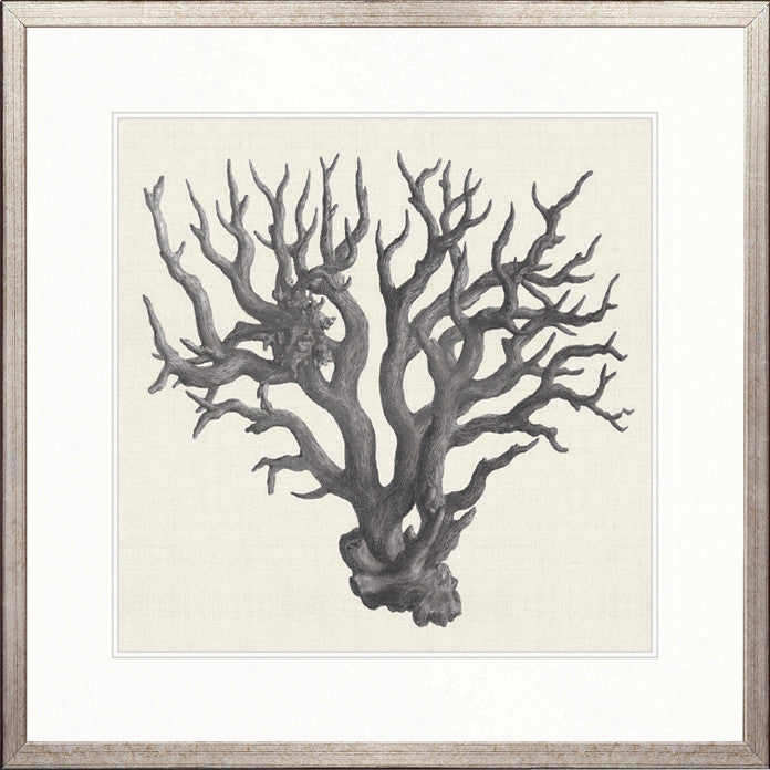 Natural Coral IV