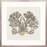 Natural Coral V