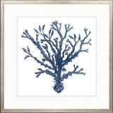 Natural Coral VII (Indigo)