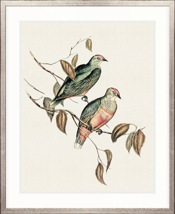 Shildon Birds I
