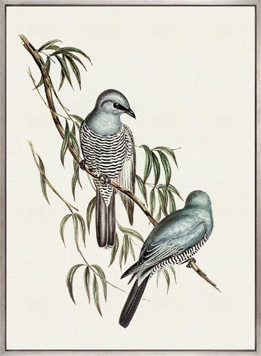 Shildon Birds V (Canvas)