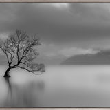 Nature Whisper I (Canvas)