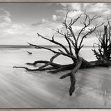 Nature Whisper III (Canvas)